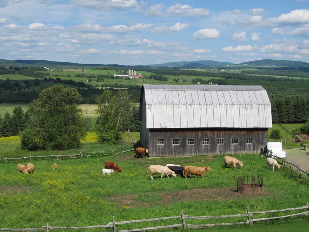 Ferme Mario Gadbois, Coaticook, Cantons-de-l'Est.