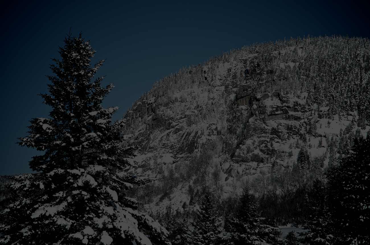 Vue du sommet du mont Pinacle en hiver